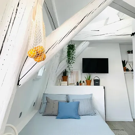 Dans Le Centre Historique Avec Wifi Et Tv Apartment